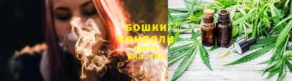 тгк Балахна