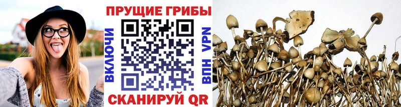 Псилоцибиновые грибы Cubensis  mega рабочий сайт  Верхнеуральск 